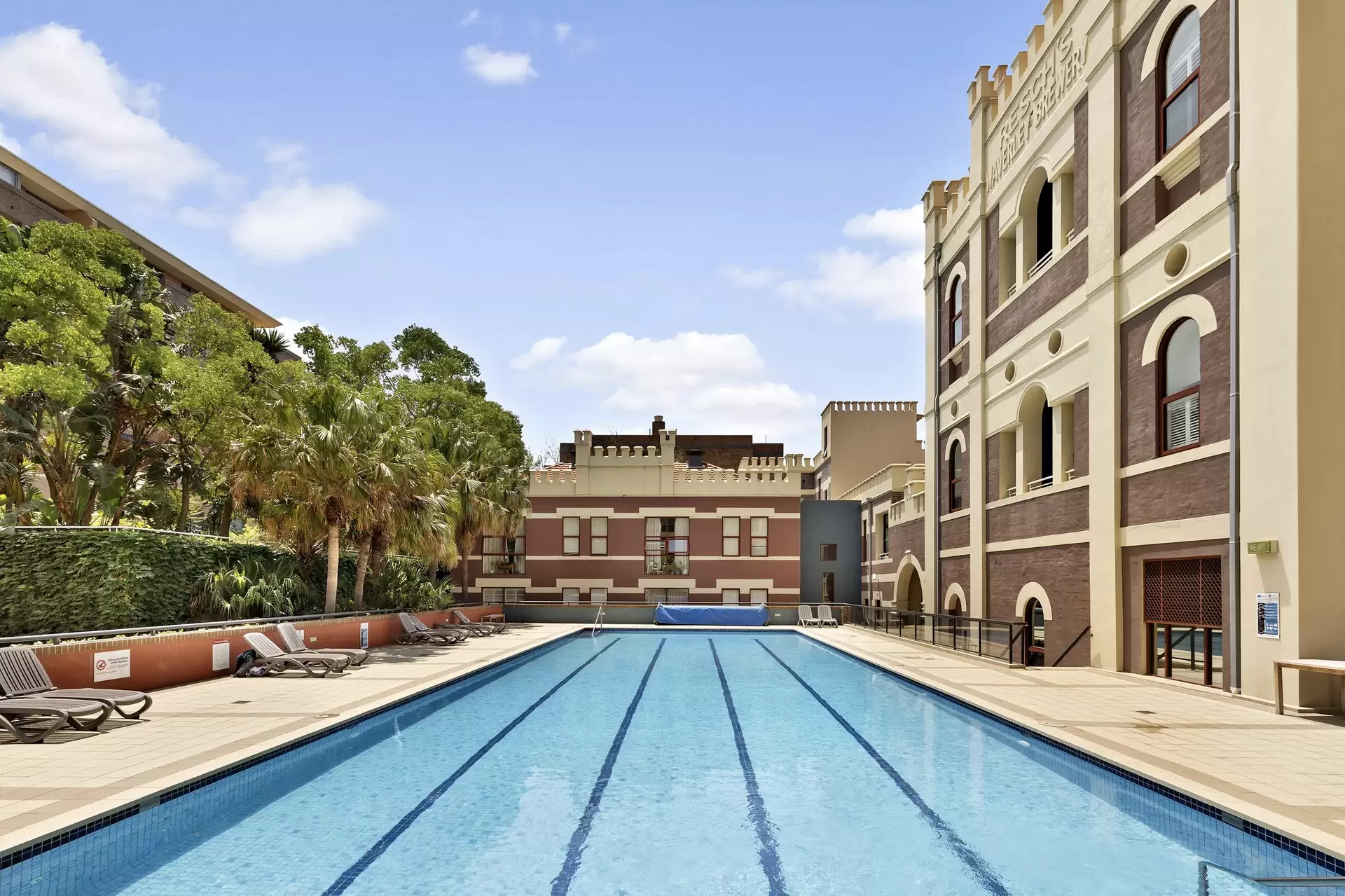 P08/780 Bourke Street, Redfern Leased by The Gallery Real Estate - image 1